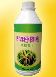 廣州以諾生物科技推出‘em種植寶’水稻專用產品，助力綠色農業發展